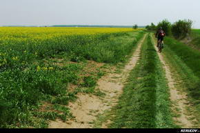 KERUCOV .ro - Fotografie si Jurnale de Calatorie - Traseu MTB Padurea Baneasa - Palatul Ghica (Prima Evadare) de Andrei Vocurek