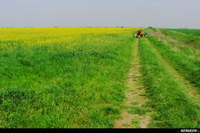 KERUCOV .ro - Fotografie si Jurnale de Calatorie - Traseu MTB Padurea Baneasa - Palatul Ghica (Prima Evadare) de Andrei Vocurek