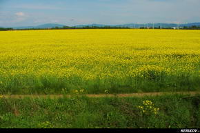 KERUCOV .ro - Fotografie si Jurnale de Calatorie - Traseu MTB Biertan - Saros pe Tarnave - Sighisoara de Andrei Vocurek