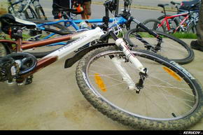 Traseu cu bicicleta MTB XC Bucuresti - Padurea Cernica - Padurea Pustnicu - KERUCOV .ro © 2007 - 2025 || #traseecubicicleta #mtb #ssp