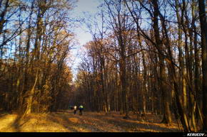 KERUCOV .ro - Fotografie si Jurnale de Calatorie - Traseu MTB Bucuresti - Padurea Cornetu - Lacul Mihailesti de Andrei Vocurek