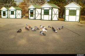 KERUCOV .ro - Fotografie si Jurnale de Calatorie - Traseu MTB Bucuresti - Chiajna - Lacul Chitila - Palatul Mogosoaia de Andrei Vocurek
