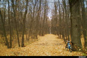 KERUCOV .ro - Fotografie si Jurnale de Calatorie - Traseu MTB Bucuresti - Chiajna - Lacul Chitila - Palatul Mogosoaia de Andrei Vocurek