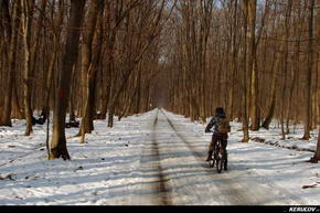 KERUCOV .ro - Fotografie si Jurnale de Calatorie - Traseu MTB Bucuresti - Padurea Baneasa - Fortul Otopeni de Andrei Vocurek