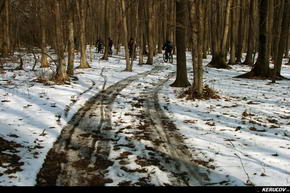 KERUCOV .ro - Fotografie si Jurnale de Calatorie - Traseu MTB Bucuresti - Padurea Baneasa - Fortul Otopeni de Andrei Vocurek