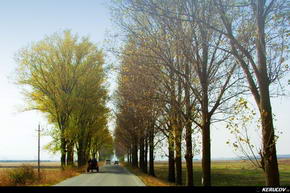 KERUCOV .ro - Fotografie si Jurnale de Calatorie - Traseu MTB Bucuresti - Gradistea - Comana - Parcul Natural Comana de Andrei Vocurek