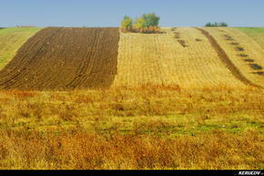 KERUCOV .ro - Fotografie si Jurnale de Calatorie - Traseu MTB Bucuresti - Gradistea - Comana - Parcul Natural Comana de Andrei Vocurek