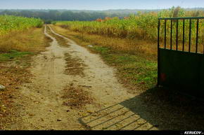 KERUCOV .ro - Fotografie si Jurnale de Calatorie - Traseu MTB Bucuresti - Gradistea - Comana - Parcul Natural Comana de Andrei Vocurek