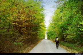 KERUCOV .ro - Fotografie si Jurnale de Calatorie - Traseu MTB Bucuresti - Gradistea - Comana - Parcul Natural Comana de Andrei Vocurek