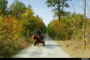 KERUCOV .ro - Fotografie si Jurnale de Calatorie - Traseu MTB Bucuresti - Gradistea - Comana - Parcul Natural Comana de Andrei Vocurek