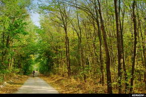 KERUCOV .ro - Fotografie si Jurnale de Calatorie - Traseu MTB Bucuresti - Gradistea - Comana - Parcul Natural Comana de Andrei Vocurek