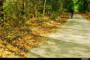 KERUCOV .ro - Fotografie si Jurnale de Calatorie - Traseu MTB Bucuresti - Gradistea - Comana - Parcul Natural Comana de Andrei Vocurek