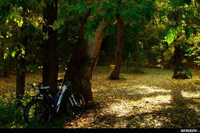 KERUCOV .ro - Fotografie si Jurnale de Calatorie - Traseu MTB Bucuresti - Gradistea - Comana - Parcul Natural Comana de Andrei Vocurek