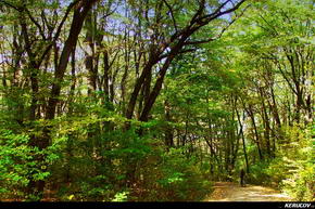 KERUCOV .ro - Fotografie si Jurnale de Calatorie - Traseu MTB Bucuresti - Gradistea - Comana - Parcul Natural Comana de Andrei Vocurek