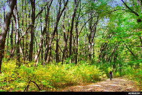 KERUCOV .ro - Fotografie si Jurnale de Calatorie - Traseu MTB Bucuresti - Gradistea - Comana - Parcul Natural Comana de Andrei Vocurek