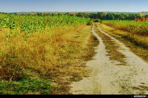 KERUCOV .ro - Fotografie si Jurnale de Calatorie - Traseu MTB Bucuresti - Gradistea - Comana - Parcul Natural Comana de Andrei Vocurek