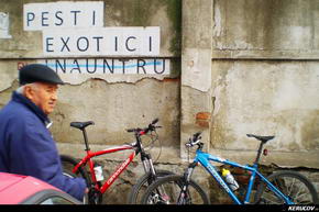 Traseu cu bicicleta MTB XC Bucuresti - Padurea Boldu-Cretuleasa - Padurea Andronache - KERUCOV .ro © 2007 - 2025 || #traseecubicicleta #mtb #ssp
