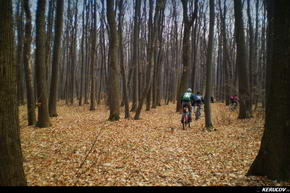 KERUCOV .ro - Fotografie si Jurnale de Calatorie - Traseu MTB Bucuresti - Padurea Boldu-Cretuleasa - Padurea Andronache de Andrei Vocurek