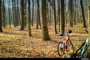 KERUCOV .ro - Fotografie si Jurnale de Calatorie - Traseu MTB Bucuresti - Padurea Boldu-Cretuleasa - Padurea Andronache de Andrei Vocurek