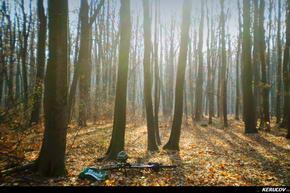 KERUCOV .ro - Fotografie si Jurnale de Calatorie - Traseu MTB Bucuresti - Padurea Boldu-Cretuleasa - Padurea Andronache de Andrei Vocurek