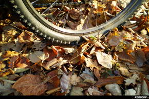 KERUCOV .ro - Fotografie si Jurnale de Calatorie - Traseu MTB Bucuresti - Padurea Boldu-Cretuleasa - Padurea Andronache de Andrei Vocurek