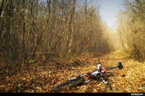 KERUCOV .ro - Fotografie si Jurnale de Calatorie - Traseu MTB Bucuresti - Padurea Boldu-Cretuleasa - Padurea Andronache de Andrei Vocurek