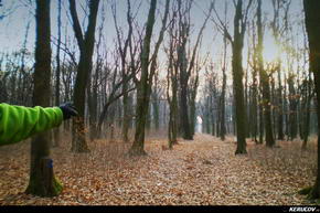 KERUCOV .ro - Fotografie si Jurnale de Calatorie - Traseu MTB Bucuresti - Padurea Boldu-Cretuleasa - Padurea Andronache de Andrei Vocurek