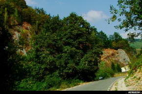 KERUCOV .ro - Fotografie si Jurnale de Calatorie - Traseu MTB Petrosani - Pestera Bolii - Arsuri - Petrila de Andrei Vocurek