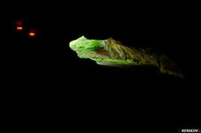 KERUCOV .ro - Fotografie si Jurnale de Calatorie - Traseu MTB Petrosani - Pestera Bolii - Arsuri - Petrila de Andrei Vocurek