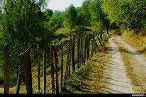 KERUCOV .ro - Fotografie si Jurnale de Calatorie - Traseu MTB Petrosani - Pestera Bolii - Arsuri - Petrila de Andrei Vocurek