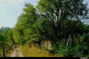 KERUCOV .ro - Fotografie si Jurnale de Calatorie - Traseu MTB Petrosani - Pestera Bolii - Arsuri - Petrila de Andrei Vocurek