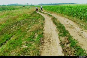 KERUCOV .ro - Fotografie si Jurnale de Calatorie - Traseu MTB Plataresti - Pitigaia - NH Balaceanca - Cernica de Andrei Vocurek