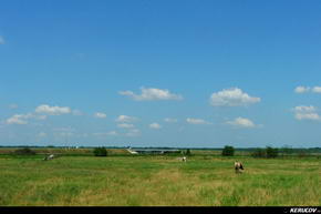 KERUCOV .ro - Fotografie si Jurnale de Calatorie - Traseu MTB Plataresti - Pitigaia - NH Balaceanca - Cernica de Andrei Vocurek
