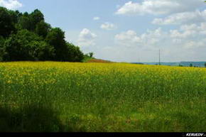KERUCOV .ro - Fotografie si Jurnale de Calatorie - Traseu MTB Sighisoara - Malancrav - Sighisoara de Andrei Vocurek