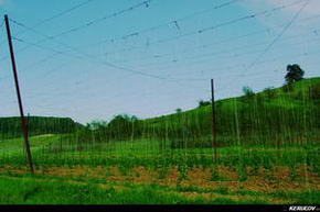 KERUCOV .ro - Fotografie si Jurnale de Calatorie - Traseu MTB Sighisoara - Malancrav - Sighisoara de Andrei Vocurek