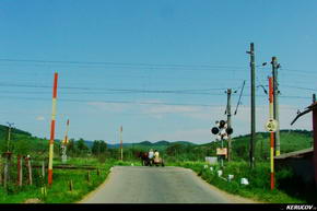 Traseu MTB Sighisoara - Prod - Copsa Mare - Biertan - KERUCOV .ro © 2007 - 2025 || #traseecubicicleta #mtb #ssp