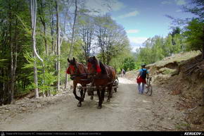 Trasee cu bicicleta MTB XC - Traseu MTB Muntii Baiului: Azuga - Muntii Baiului - Secaria - Comarnic de Andrei Vocurek