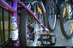 Trasee cu bicicleta MTB XC - Traseu MTB Bucuresti - Sirna - Conacul Nicolau de la Brazi - Ploiesti de Andrei Vocurek