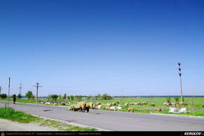 Trasee cu bicicleta MTB XC - Traseu MTB Bucuresti - Giurgiu - Ruse - Basarbovo - Krasen de Andrei Vocurek
