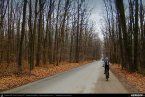 Traseu cu bicicleta MTB XC Bucuresti - Padurea Baneasa - Bucuresti - KERUCOV .ro © 2007 - 2025 || #traseecubicicleta #mtb #ssp