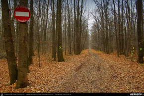 Trasee cu bicicleta MTB XC - Traseu MTB Bucuresti - Padurea Baneasa - Bucuresti de Andrei Vocurek