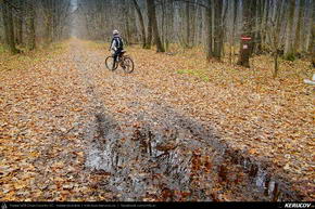 Trasee cu bicicleta MTB XC - Traseu MTB Bucuresti - Padurea Baneasa - Bucuresti de Andrei Vocurek