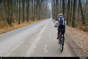 Trasee cu bicicleta MTB XC - Traseu MTB Bucuresti - Padurea Baneasa - Bucuresti de Andrei Vocurek