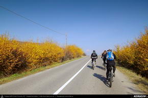 Traseu cu bicicleta MTB XC Campina - Boldesti-Scaeni - Seciu - Ploiesti - KERUCOV .ro © 2007 - 2025 || #traseecubicicleta #mtb #ssp