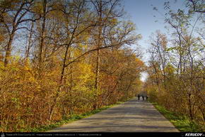 Trasee cu bicicleta MTB XC - Traseu MTB Campina - Boldesti-Scaeni - Seciu - Ploiesti de Andrei Vocurek