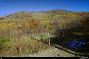 Trasee cu bicicleta MTB XC - Traseu MTB Campina - Boldesti-Scaeni - Seciu - Ploiesti de Andrei Vocurek
