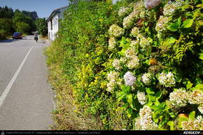 Trasee cu bicicleta MTB XC - Traseu MTB El Camino de Santiago del Norte - 4: Colombres - Llanes - Ribadesella - San Esteban Leces de Andrei Vocurek