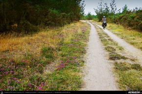 Traseu cu bicicleta MTB XC El Camino de Santiago del Norte - 11: Baamonde - Miraz - Roxica - Sobrado Dos Monxes - KERUCOV .ro © 2007 - 2025 || #traseecubicicleta #mtb #ssp