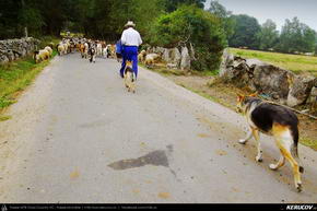 Trasee cu bicicleta MTB XC - Traseu MTB El Camino de Santiago del Norte - 11: Baamonde - Miraz - Roxica - Sobrado Dos Monxes de Andrei Vocurek