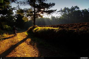Trasee cu bicicleta MTB XC - Traseu MTB El Camino de Santiago del Norte - 12: Sobrado Dos Monxes - Arzua - Santiago de Compostela de Andrei Vocurek